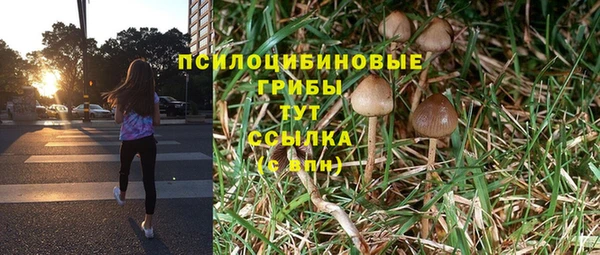 каннабис Верея