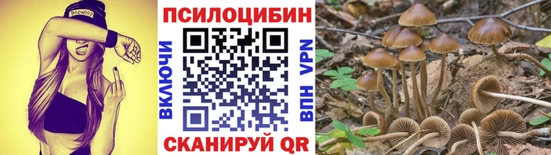 Галлюциногенные грибы прущие грибы Кириши